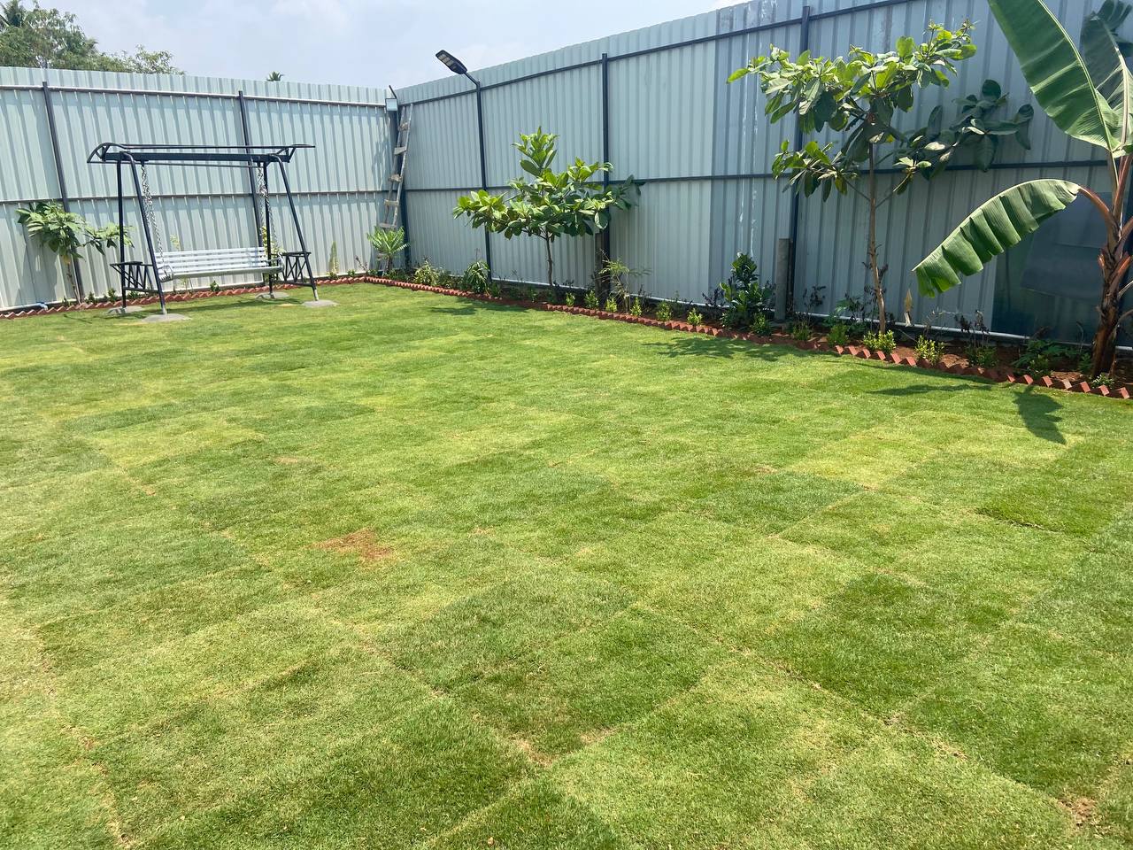 Green lawn at Sapthagiri Villa